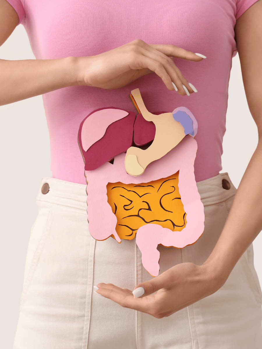 sistema digestivo mujer